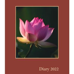 Big Diary 2022