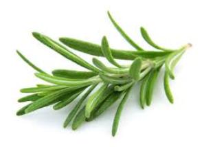 Essential Oils - Image 11