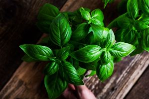 Essential Oils - Image 48