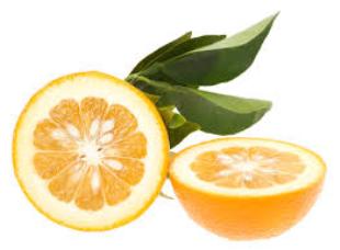 Essential Oils - Image 36