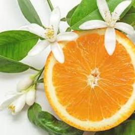 Essential Oils - Image 58