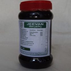 Jeevan